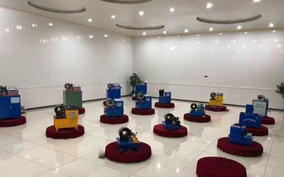 Cina Shanghai Fanying Machinery Technology Co., Ltd. Profil Perusahaan